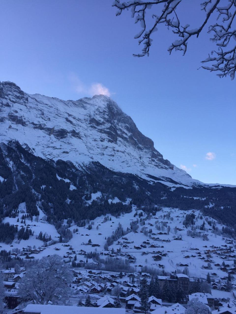 Chalet Grünegg Grindelwald Dış mekan fotoğraf