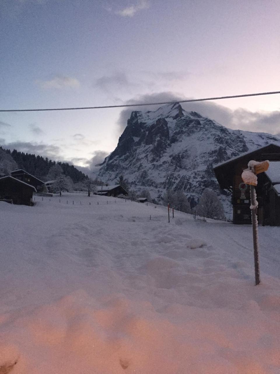 Chalet Grünegg Grindelwald Dış mekan fotoğraf